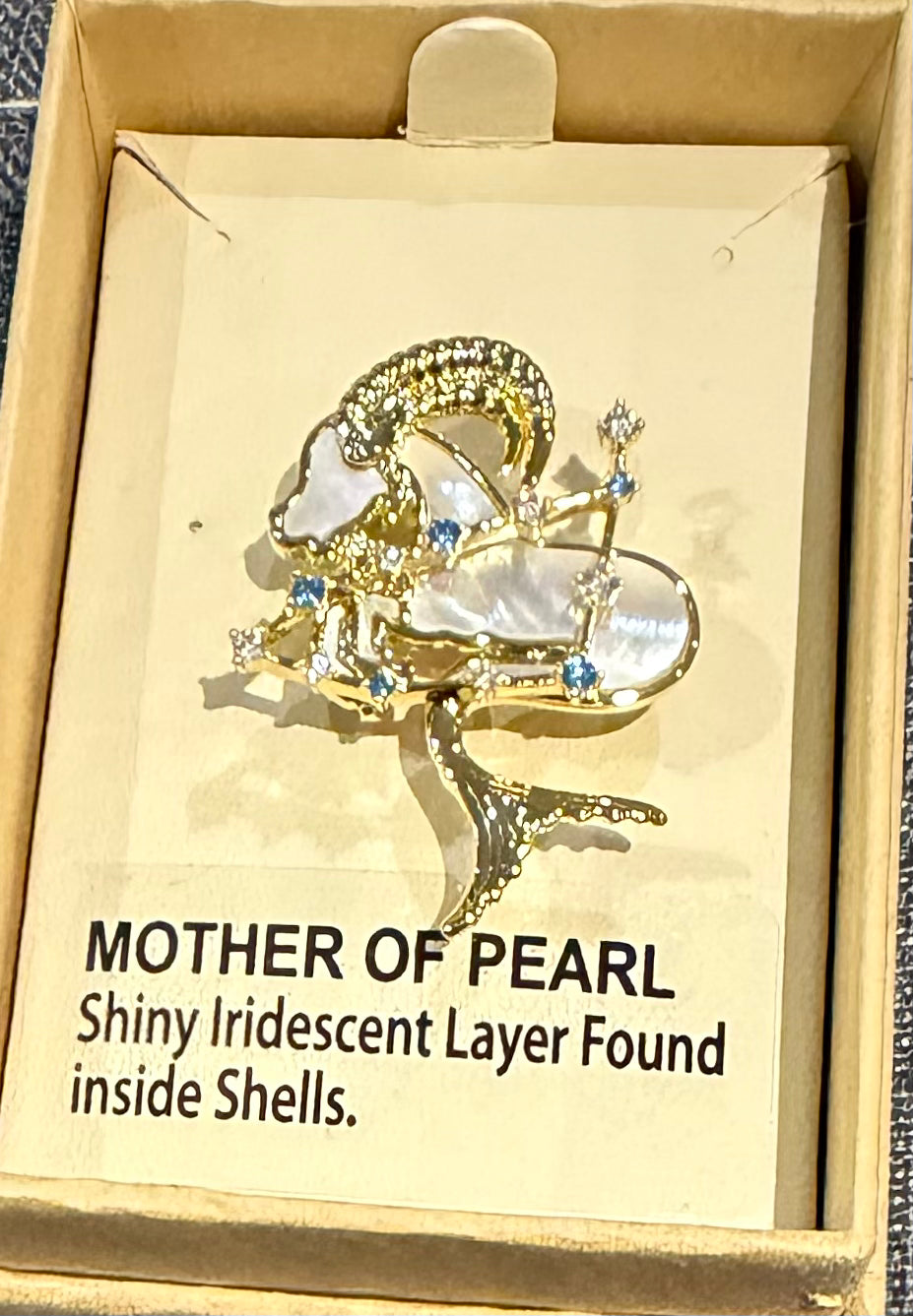 Mother of Pearl Brooch Capricorn