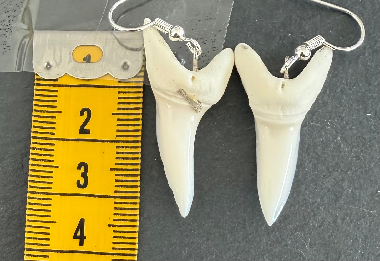 Real Mako Shark Teeth Earrings - No 20