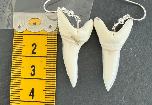 Real Mako Shark Teeth Earrings - No 20