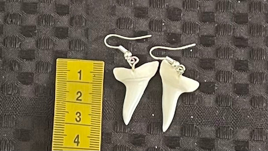 Real Mako Shark Teeth Earrings - No 10