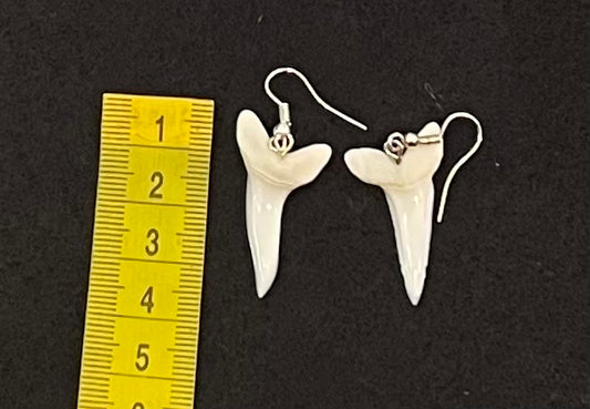 Real Mako Shark Teeth Earrings - No 19
