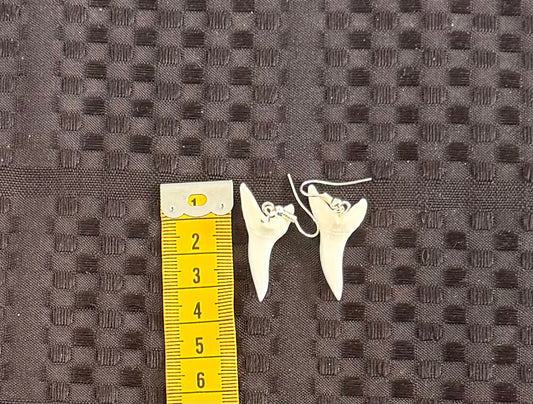 Real Mako Shark Teeth Earrings - No 16