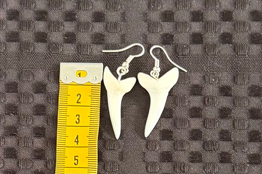 Real Mako Shark Teeth Earrings - No 6