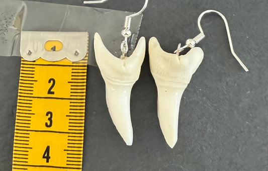 Real Mako Shark Teeth Earrings - No 21