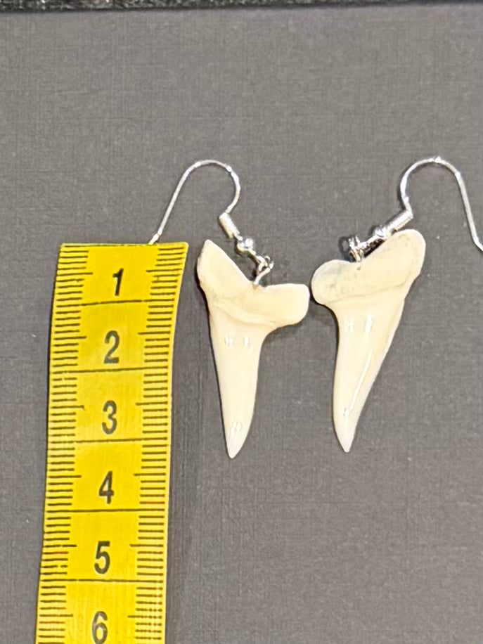 Real Mako Shark Teeth Earrings - No 5