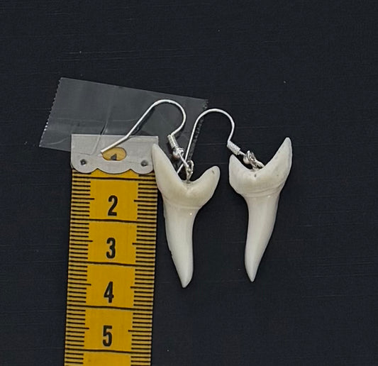 Real Mako Shark Teeth Earrings - No 22