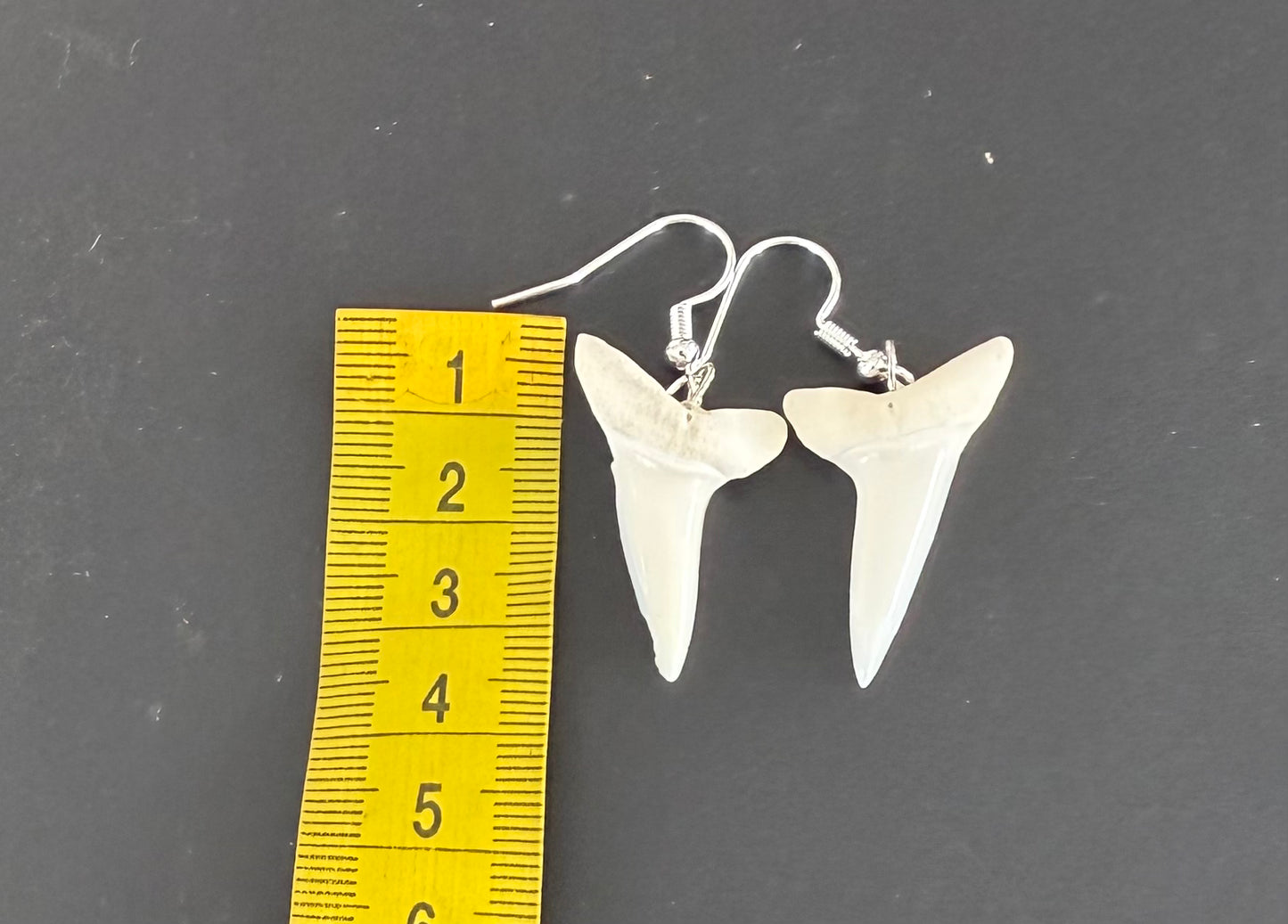 Real Mako Shark Teeth Earrings - No 21