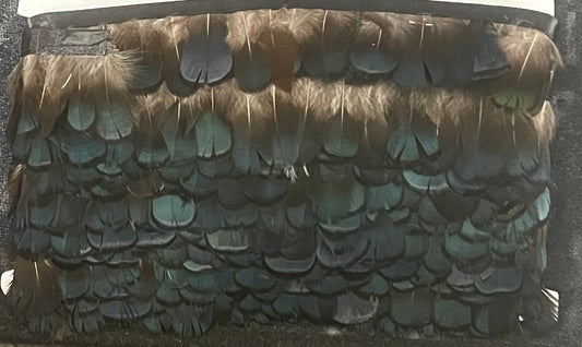 Blue Green Pheasant Feathers