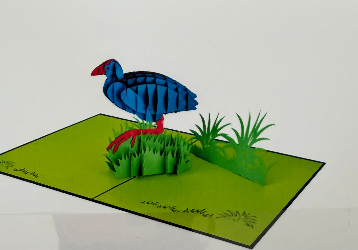 NZ Pukeko