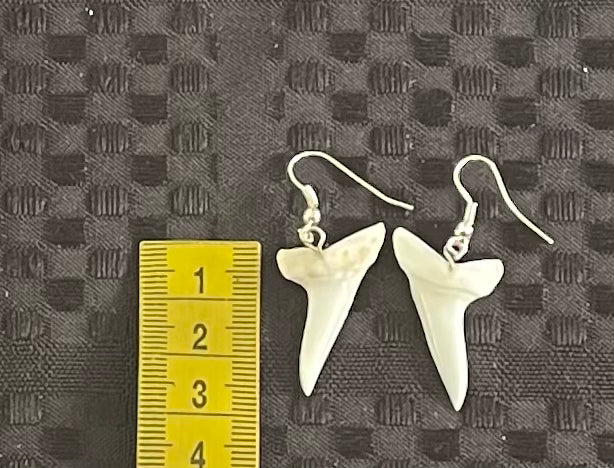 Real Mako Shark Teeth Earrings - No 1
