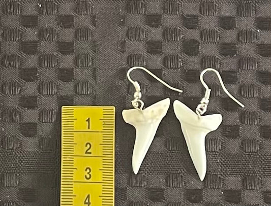 Real Mako Shark Teeth Earrings - No 1