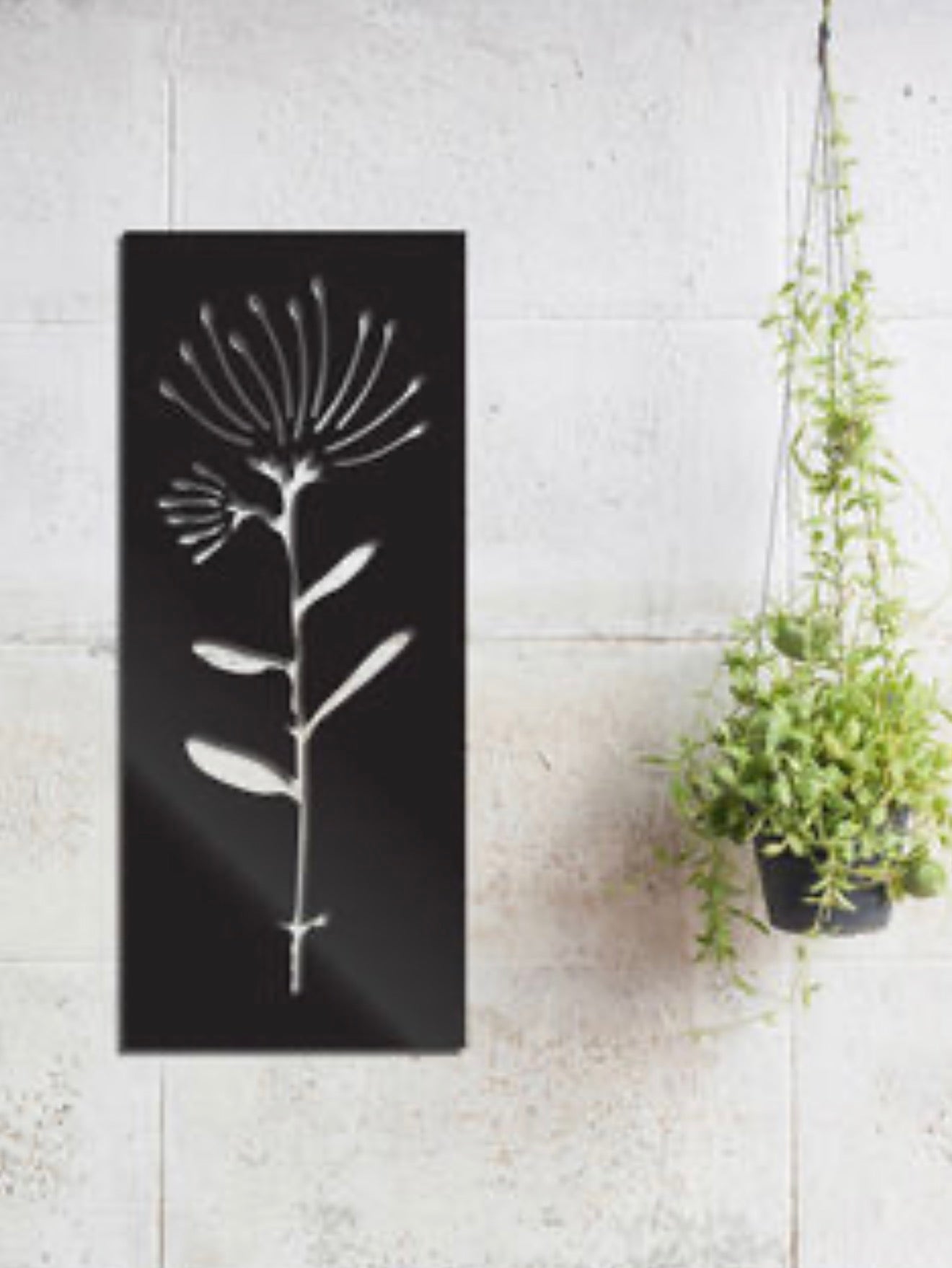Pohutukawa flower - Art Panel