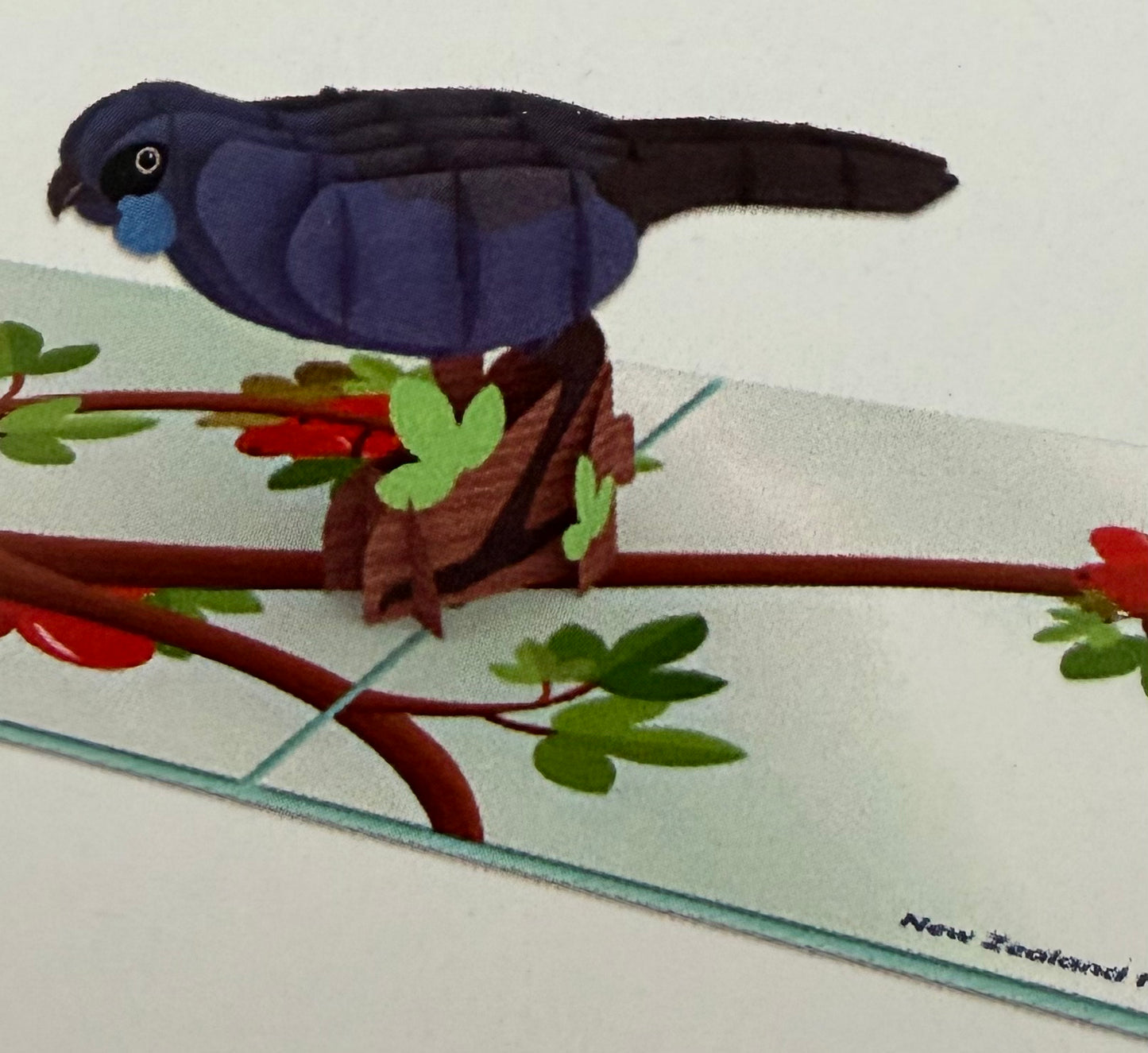 Kōkako NZ land bird