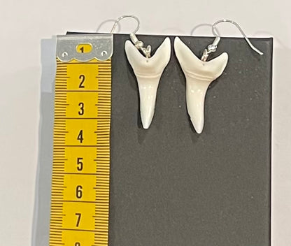 Real Mako Shark Teeth Earrings - No 10