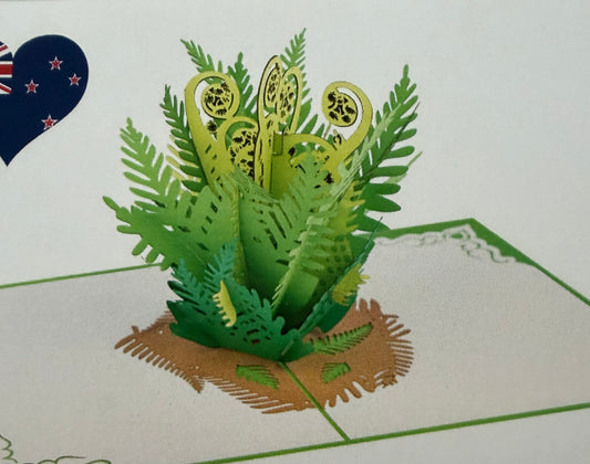 Aotearoa NZ ferns