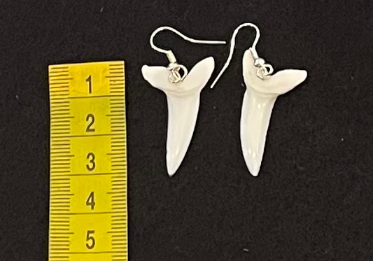 Real Mako Shark Teeth Earrings - No 17