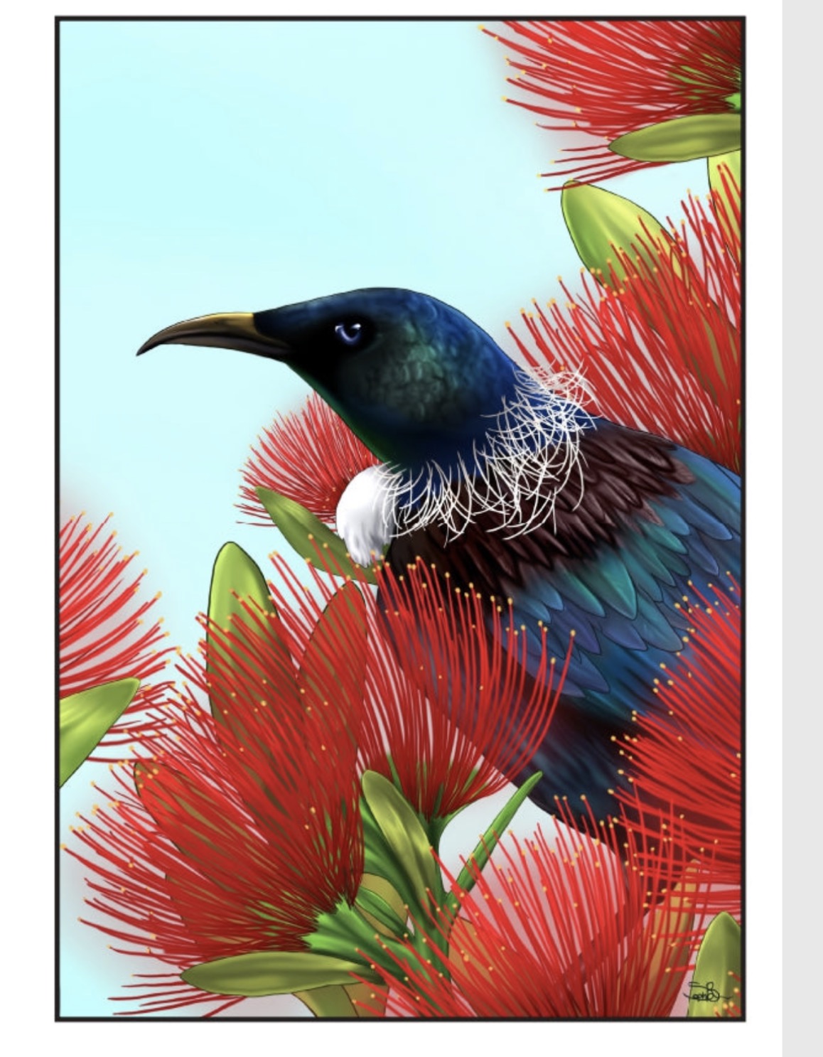 Maori Art Cards by Sophie Blokker