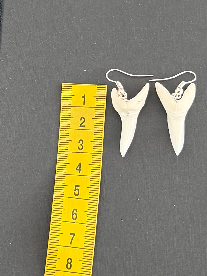 Real Mako Shark Teeth Earrings - No 11