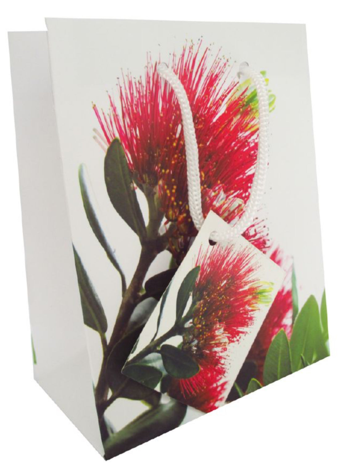 Maori Design Gift Bag - Small