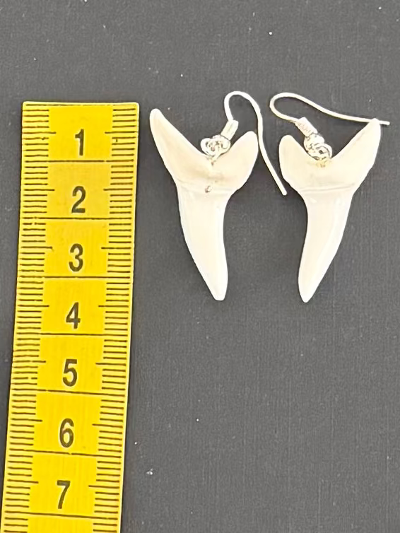 Real Mako Shark Teeth Earrings - No 9
