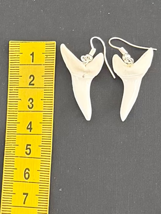 Real Mako Shark Teeth Earrings - No 9