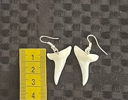 Real Mako Shark Teeth Earrings - No3