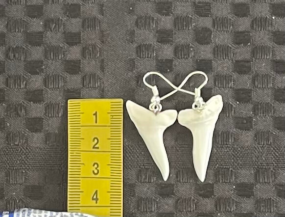 Real Mako Shark Teeth Earrings - No 2