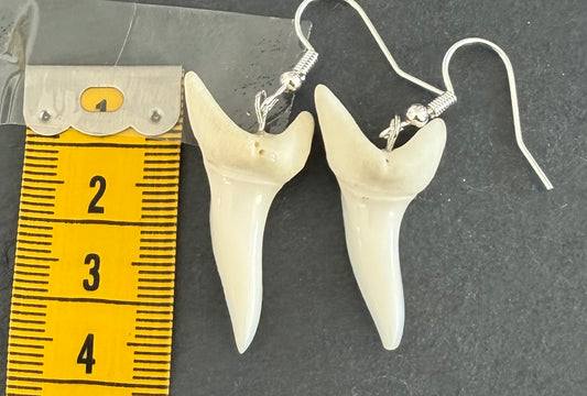 Real Mako Shark Teeth Earrings - No 17