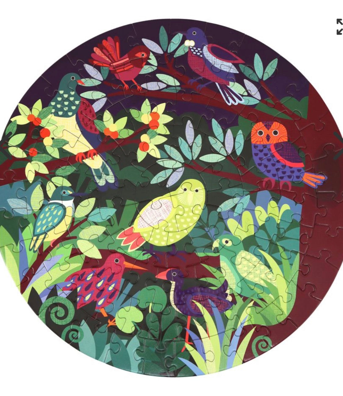 Heads and Tails NZ Native Birds Puzzle