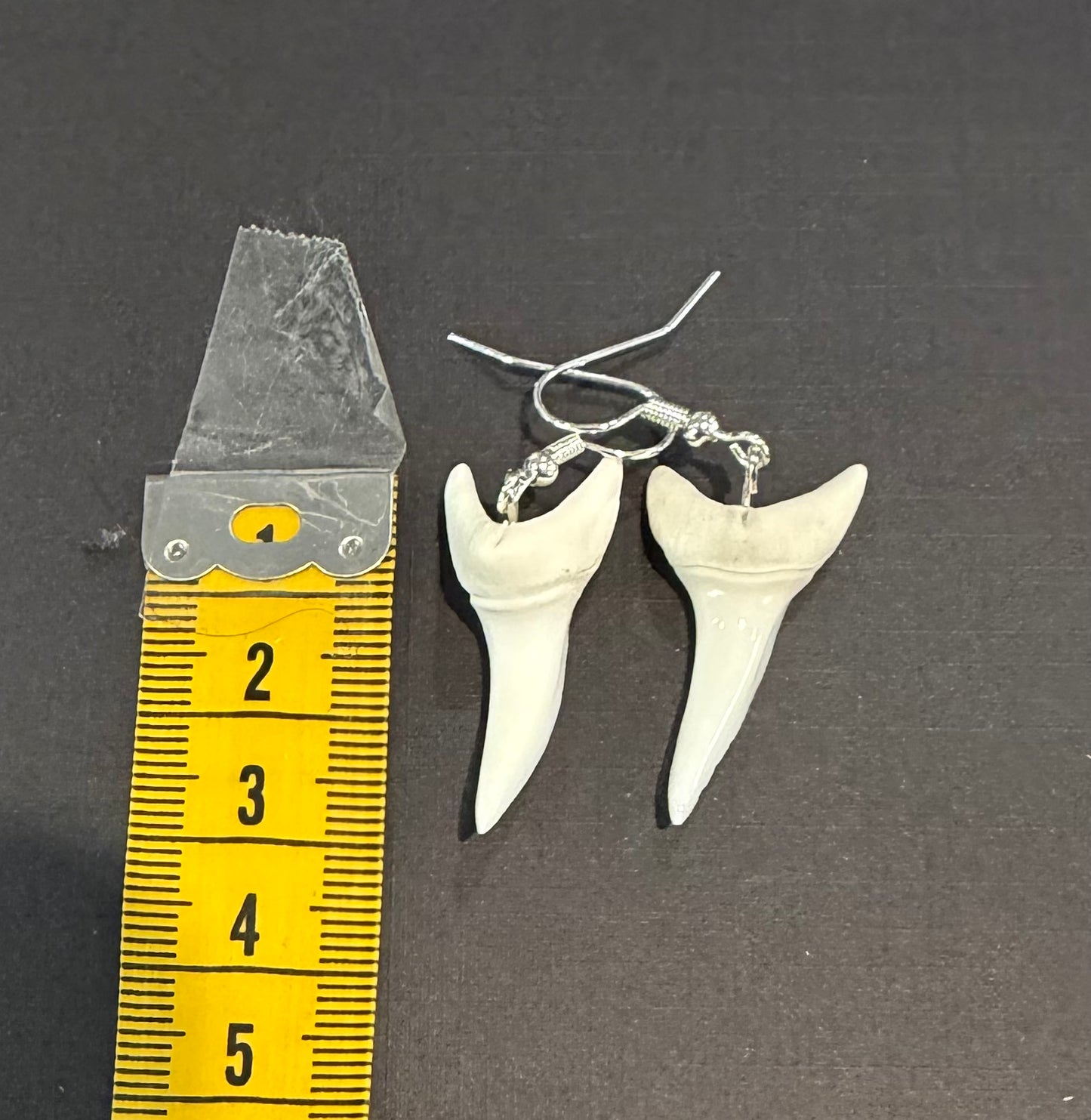 Real Mako Shark Teeth Earrings - No 17