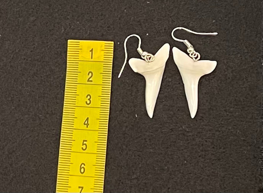 Real Mako Shark Teeth Earrings - No 13
