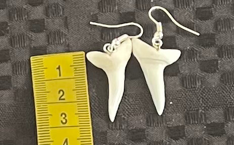 Real Mako Shark Teeth Earrings - No 6