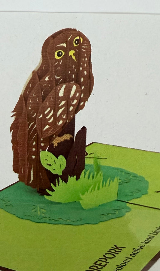 NZ Morepork