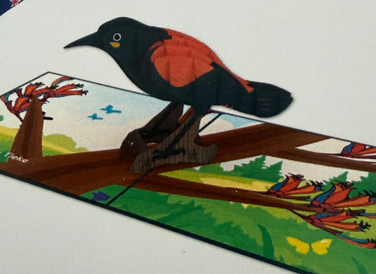 NZ Saddleback Tieke