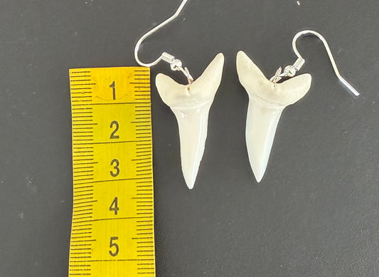 Real Mako Shark Teeth Earrings - No 15