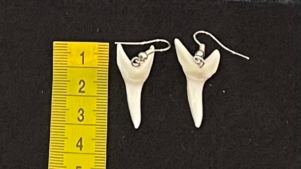 Real Mako Shark Teeth Earrings - No 21