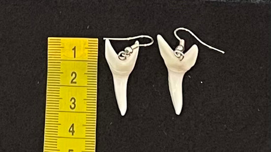 Real Mako Shark Teeth Earrings - No 21