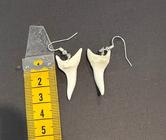 Real Mako Shark Teeth Earrings - No 14