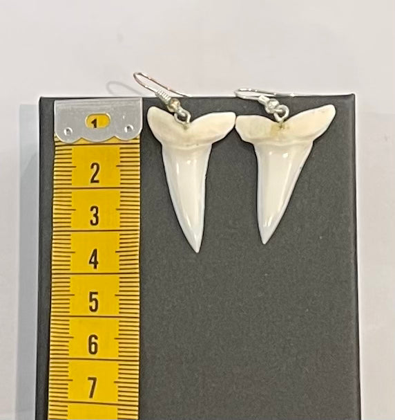 Real Mako Shark Teeth Earrings - No3