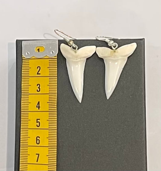 Real Mako Shark Teeth Earrings - No3