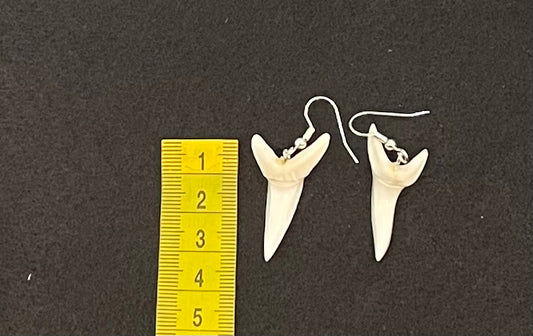 Real Mako Shark Teeth Earrings - No 2