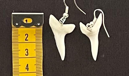 Real Mako Shark Teeth Earrings - No 10