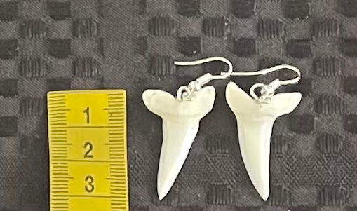 Real Mako Shark Teeth Earrings - No 4