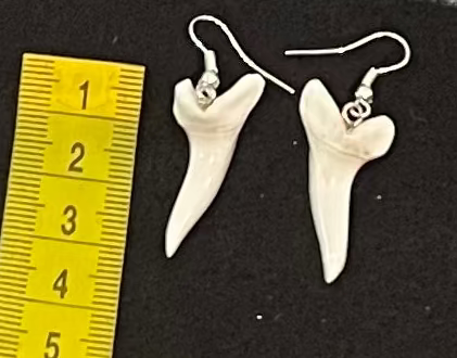 Shark tooth earrings with a yellow ruler for scale on a black background