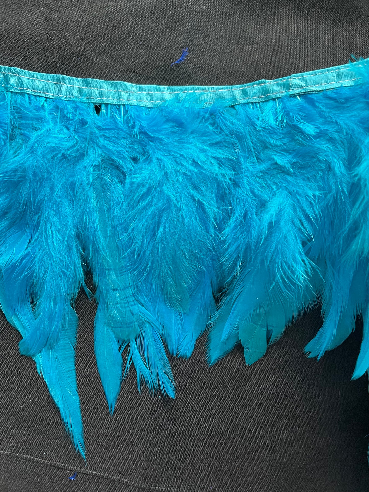 Plain Turquoise Coque Feathers