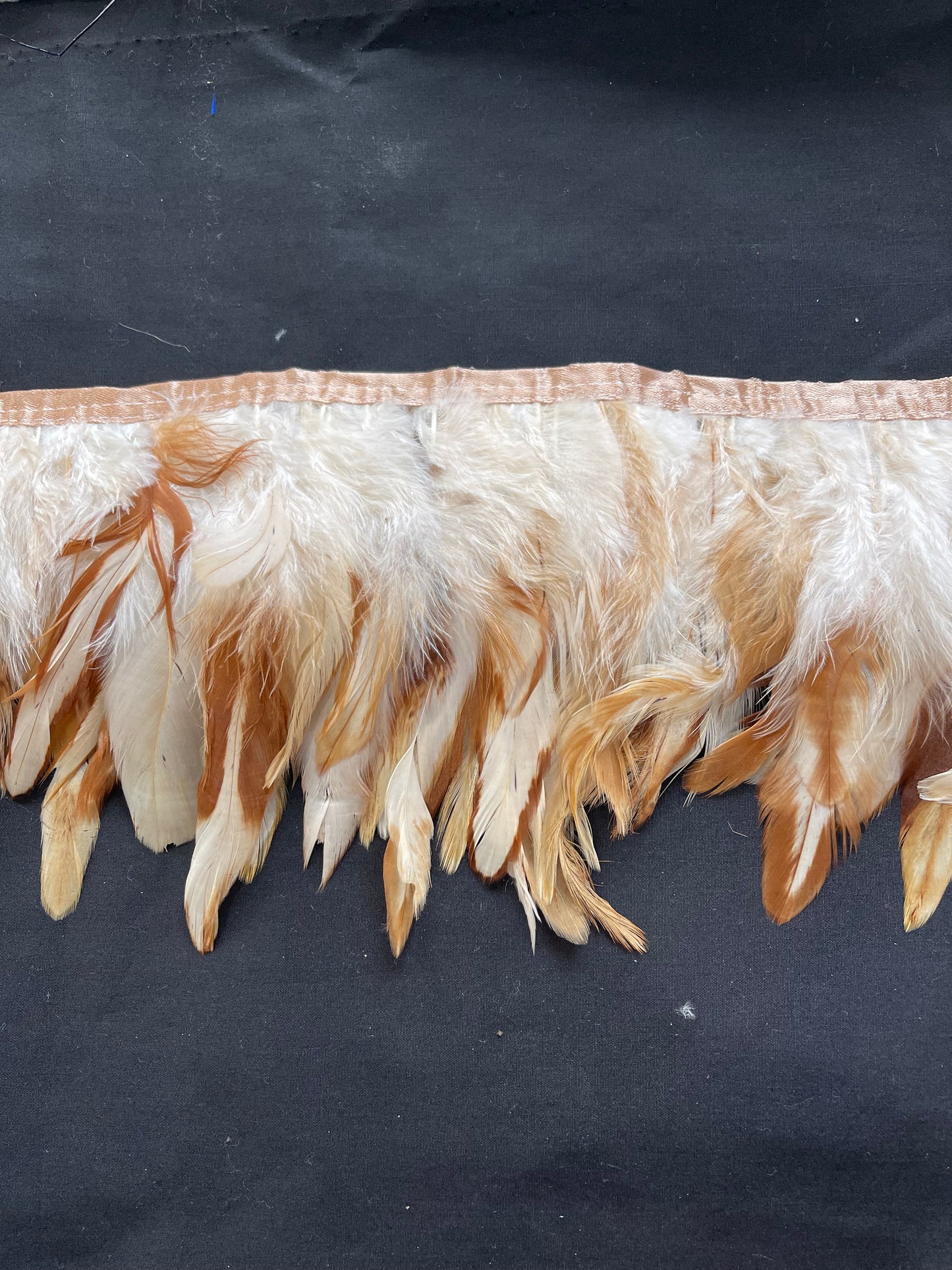 Tan and cream Coque Feathers