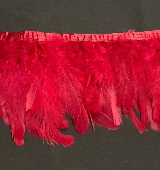 Plain Maroon Coque Feathers