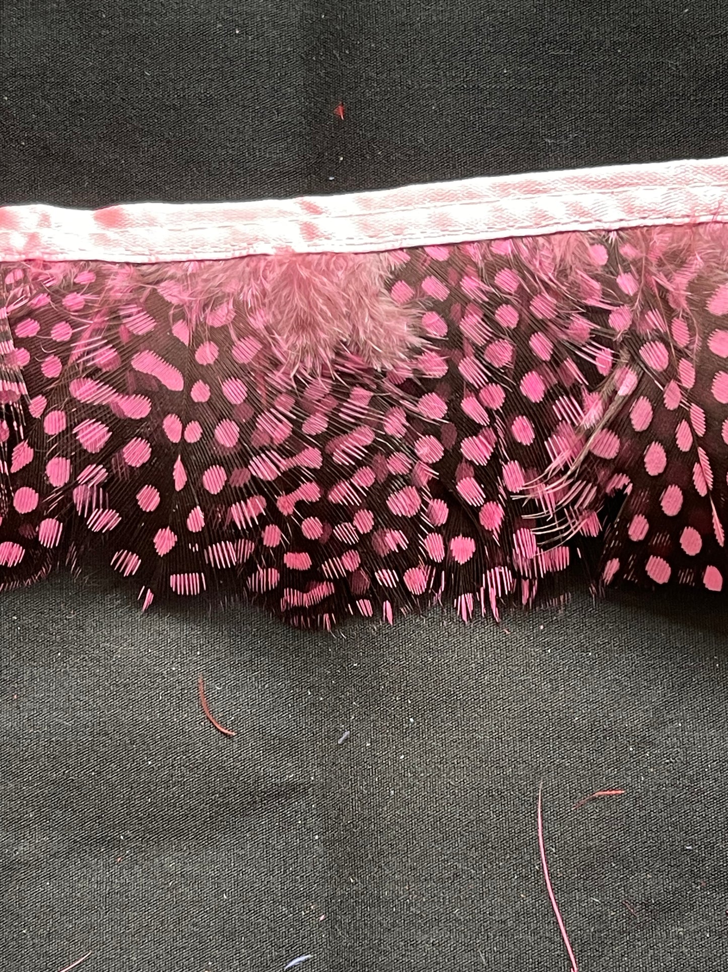 Pink Spotted Guinea Fowl Feathers