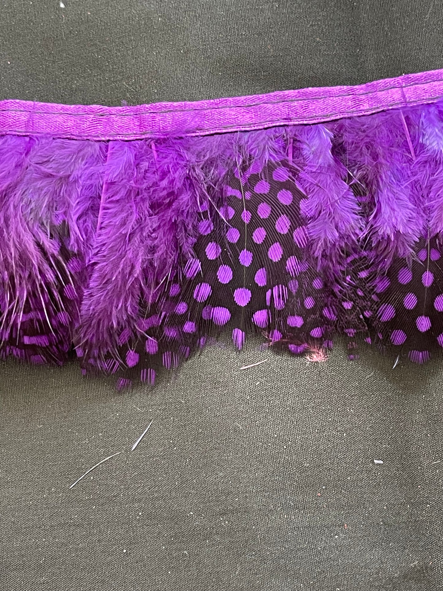 Purple Spotted Guinea Fowl Feathers