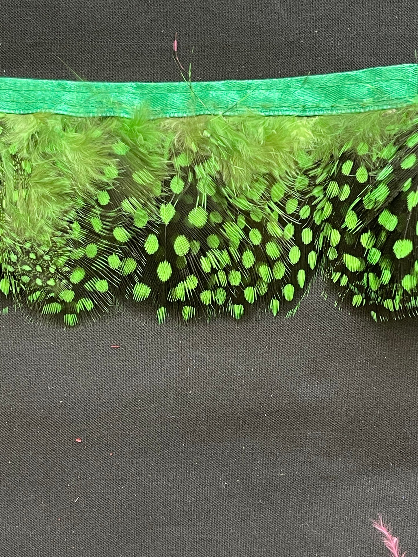 Grass Green Spotted Guinea Fowl Feathers